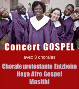 concert-site